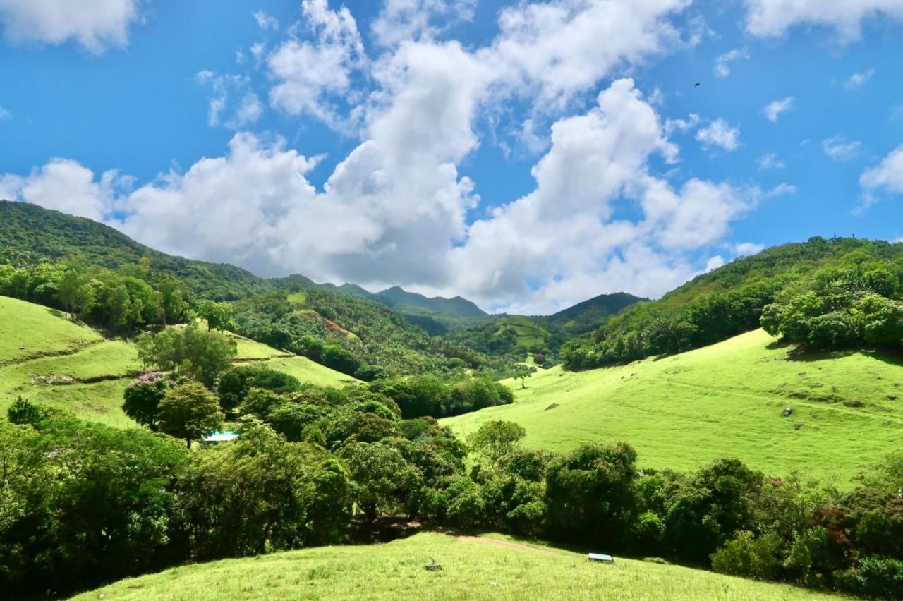 Ferney Nature Lodge 마헤보그 외부 사진